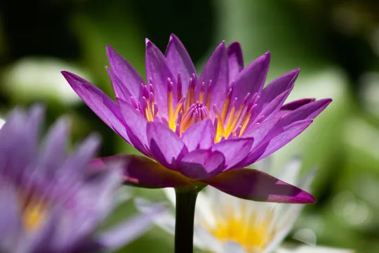 历史数据与统计说明